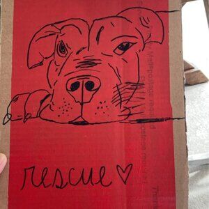 GOING LIVE THURS - SUNDAY UNTIL FURTHER NOTICE